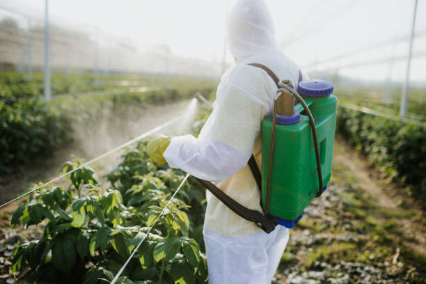 Best Pest Removal Services  in Senatobia, MS